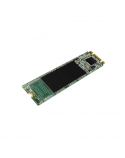 Silicon Power A55 256 GB, SSD interface M.2 SATA, Write speed 450 MB/s, Read speed 550 MB/s