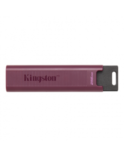 Kingston USB 3.2 Flash Drive DataTraveler MAX 256 GB, USB 3.2