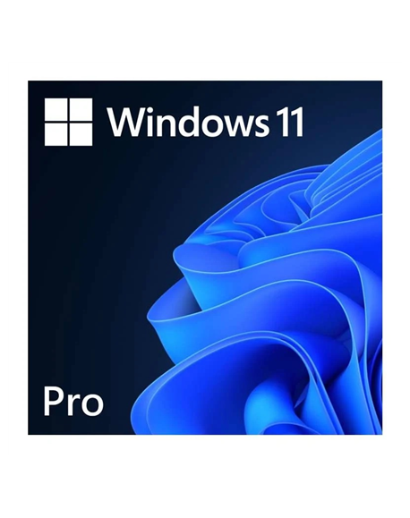 Microsoft FQC-10572 Win 11 Pro 64-Bit All Lng 1pk ESD