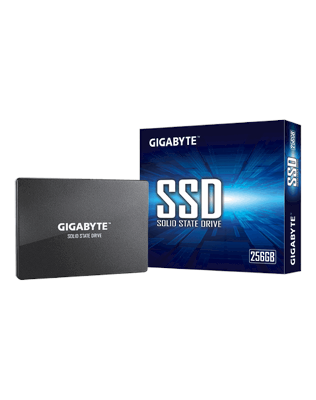 Gigabyte GP-GSTFS31256GTND 256 GB, SSD interface SATA, Write speed 500 MB/s, Read speed 520 MB/s
