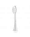 ETA Toothbrush replacement RegularClean ETA070790200 Heads, For adults, Number of brush heads included 2, White