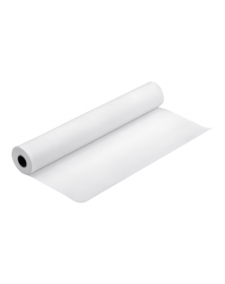 Epson Proofing Paper White Semimatte, 17" x 30,5 m, 256g/m² Epson