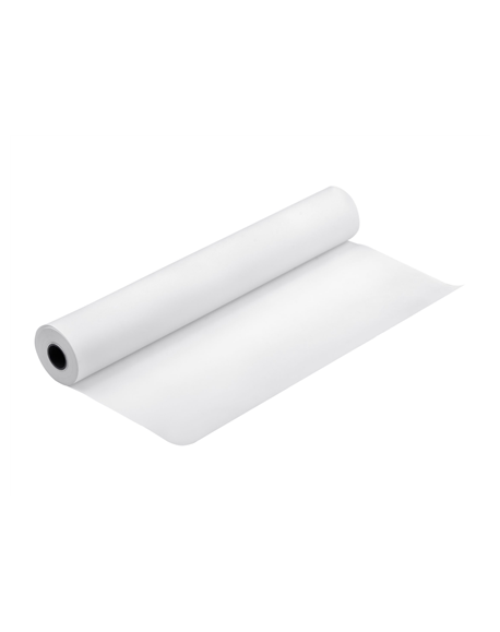 Epson Proofing Paper White Semimatte, 17" x 30,5 m, 256g/m² Epson