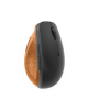 Lenovo Go Wireless Vertical Mouse Wireless optical, Storm grey with natural cork, USB-A, 1 x AA batteries (included)