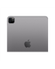 iPad Pro 11" Wi-Fi + Cellular 256GB - Space Gray 4th Gen Apple
