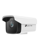 VIGI C300 Series C300HP-6 - V1 - network surveillance camera TP-LINK