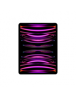iPad Pro 12.9" Wi-Fi 512GB - Space Gray 6th Gen Apple
