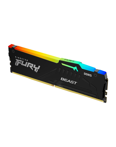 Kingston 32 GB DDR5 6000 MHz PC/server Registered No ECC Yes