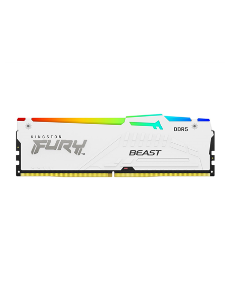 Kingston 32 GB DDR5 6000 MHz PC/server Registered No ECC No