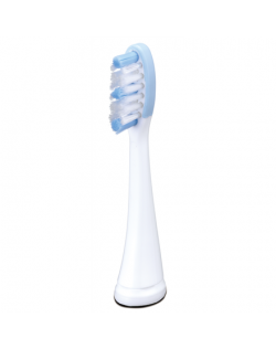 Panasonic Toothbrush replacement WEW0974W503 Heads, For adults, Number of brush heads included 2, Number of teeth brushing modes