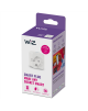 Wizarding World | Smart WiFi Plug