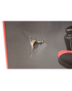 SALE OUT. | Genesis Gaming chair Nitro 330 | NFG-0752 | Black - red | DAMAGED PACKAGING