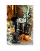 Adler AD 4132 | Type Juicer maker | Dark Inox | 800 W | Number of speeds 3