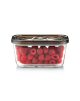 Caso Glass Vacuum Container with Plastic Lid | VacuBoxx Eco M | Transparent