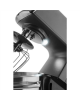 ETA Kitchen Machine | ETA203890010 Gratus Kuliner II Max | 1700 W | Number of speeds 12 | Bowl capacity 6.7 L | Gray