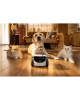 Enabot ROLA PetPal Family Robot IP Camera, White | Family Robot IP Camera | ROLA PetPal | 5 MP