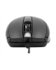 Targus Full-Size Optical Antimicrobial Wired Mouse | Mouse | Full-Size Optical Antimicrobial | Wired | Black