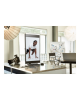 Samsung LS32D600UAUXEN | 32 " | IPS | QHD | 16:9 | 100 Hz | 5 ms | 2560 x 1440 pixels | 350 cd/m² | HDMI ports quantity 1 | Blac