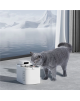 PETKIT | Drinking Fountain | Eversweet Max | Capacity 3 L | Material Food-grade ABS | White