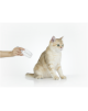 PETKIT LED Nail Clipper PRO | White