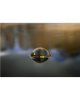 Deeper Smart Sonar Chirp+3 | Sonar | Wi-Fi | Brown Green