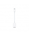 Apple | USB-C to USB Adapter