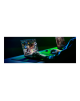 Razer Blade 16 | Black | 16 " | OLED | QHD+ | 2560 x 1600 pixels | 240 Hz | AMD Ryzen AI 9 | 365 | 64 GB | LPDDR5X | Solid-state