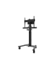 Neomounts AV2-500BL Videobar kit - 43-110" - max 10 kg - VESA 200x200-800x600 - universal - black