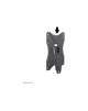 Neomounts NM-W60BLACK Tiltable monitor/TV mount wall - 10-30" - max 25 kg - VESA 75x75-100x100 - d 3,4 cm - black