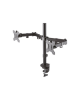 Neomounts FPMA-D550DBLACK Dual monitor arm - 10-32" - 0-8 kg/screen - black