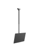 Neomounts CL35-340BL12 Monitor/TV mount Ceiling | Adjustable Height, Rotate, Tilt, Swivel | 23-42 " | Maximum weight (capacity) 