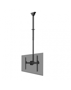 Neomounts CL35-440BL16L Monitor/TV Mount Ceiling | Adjustable Height, Rotate, Tilt, Swivel | 37-70 " | Maximum weight (capacity)