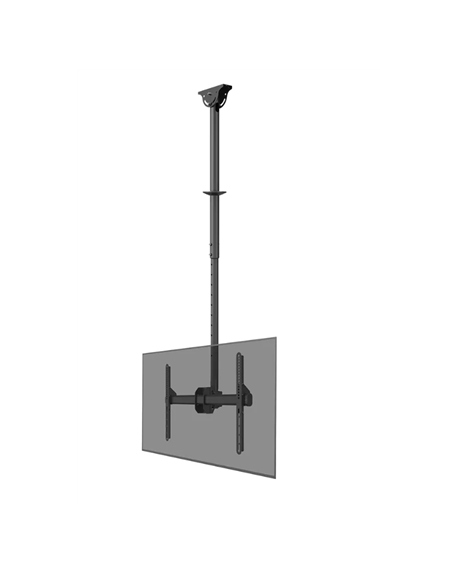 Neomounts CL35-440BL16L Monitor/TV Mount Ceiling | Adjustable Height, Rotate, Tilt, Swivel | 37-70 " | Maximum weight (capacity)