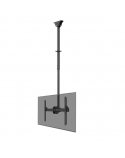 Neomounts CL35-440BL16L Monitor/TV Mount Ceiling | Adjustable Height, Rotate, Tilt, Swivel | 37-70 " | Maximum weight (capacity) 50 kg | Black