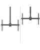 Neomounts CL35-440BL16L Monitor/TV Mount Ceiling | Adjustable Height, Rotate, Tilt, Swivel | 37-70 " | Maximum weight (capacity)