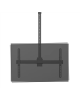 Neomounts CL35-440BL16L Monitor/TV Mount Ceiling | Adjustable Height, Rotate, Tilt, Swivel | 37-70 " | Maximum weight (capacity)