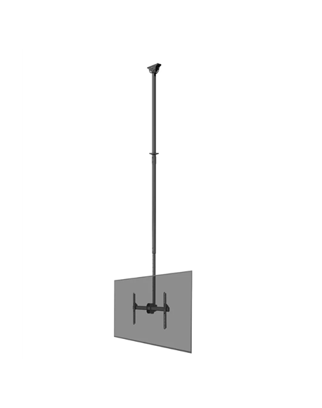 Neomounts CL35-440BL16XL Monitor/TV Mount Ceiling | Adjustable Height, Rotate, Tilt, Swivel | 37-70 " | Maximum weight (capacity