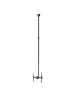 Neomounts CL35-440BL16XL Monitor/TV Mount Ceiling | Adjustable Height, Rotate, Tilt, Swivel | 37-70 " | Maximum weight (capacity