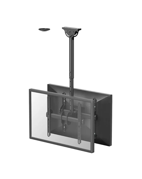 Neomounts NM-C440DBLACK Dual monitor/TV mount ceiling | Adjustable Height, Rotate, Tilt, Swivel | 32-60 " | Maximum weight (capa