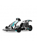 Segway GoKart Pro 2 | 43 km/h