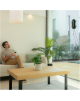 Cecotec Window Cleaning Robot | Conga Windroid 1090 Double Spray Connected | Corded | Black