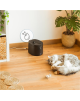 Cecotec Smart Pet Fountain | Pumba 2500 Refresh | Capacity 2.5 L | Black