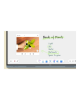 Benq Board Master RM6504 | 65 " | 450 cd/m² | Landscape | 18/7 | Android | Wi-Fi | Touchscreen | 8 ms