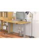 Digitus Floor stand | DA-90435 Electrical Table Frame | Height adjustment | Maximum weight (capacity) 100 kg | Grey