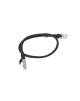 Lanberg Patchcord CAT.6 UTP | PCU6-10CC-0050-BK | 0.5 m