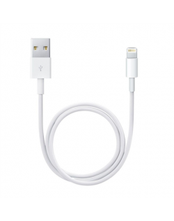 Apple Lightning to USB Cable (1m)