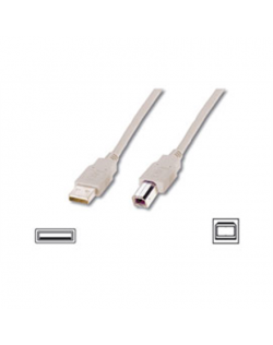 Logilink USB 2.0 connection cable USB A male, USB B male, 5 m, Grey