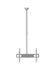 Sunne Ceiling mount, PL-C62, 37-70 ", Tilt, Maximum weight (capacity) 50 kg, Silver