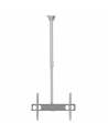 Sunne Ceiling mount, PL-C62, 37-70 ", Tilt, Maximum weight (capacity) 50 kg, Silver