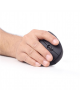 Gembird MUSW-ERGO-01 2.4GHz Wireless Optical Mouse, USB, Wireless connection, Black